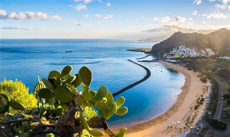 que hacer hoy en tenerife sur|10 Cosas que ver y hacer en Tenerife sur en 2 o 3 días